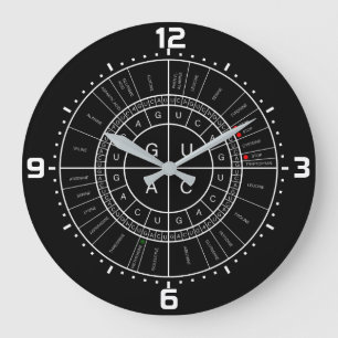 Grande Horloge Ronde ARN to AMINO ACID CODON WHEEL