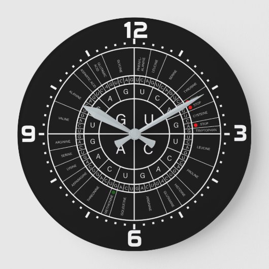 Grande Horloge Ronde ARN to AMINO ACID CODON WHEEL (Recto)