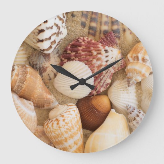 Grande Horloge Ronde Arrangement de coquillage (Recto)