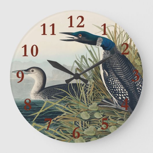Grande Horloge Ronde Audubon Bird Loon Diver Classic (Recto)