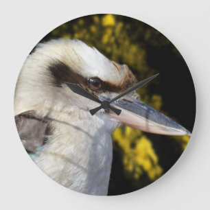 Grande Horloge Ronde Australian Laugh The Kookaburra,