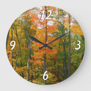 Grande Horloge Ronde Automne Maple Trees Automne Photographie de la nat