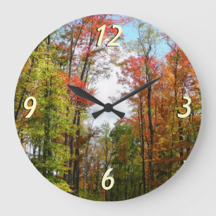 Grande Horloge Ronde Automnes Arbres et Ciel bleu Automne Photographie 