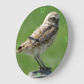 Grande Horloge Ronde B56 Chouette bractée (Angle)