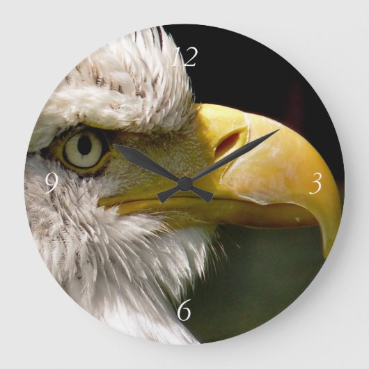 GRANDE HORLOGE RONDE BALD EAGLE (Recto)