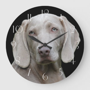 Grande Horloge Ronde Beautiful Weimaraner Hunting Dog