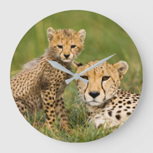 Grande Horloge Ronde Bébé guépard et parent dans l'herbe
