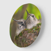 Grande Horloge Ronde Bébé hummingbirds (Angle)