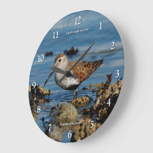 Grande Horloge Ronde Bécasseau de Bécasseau à dunes à la plage