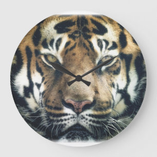 Grande Horloge Ronde Belle photo du visage du tigre du Bengale
