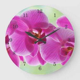Grande Horloge Ronde Belles orchidées roses