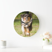 Grande Horloge Ronde Berger australien jouant avec la boule (Maison)