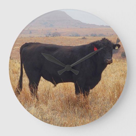 Grande Horloge Ronde Black Angus Steer Grazing (Recto)