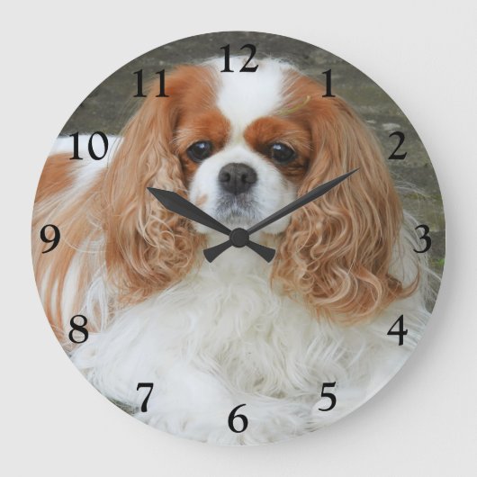 Grande Horloge Ronde Blenheim Cavalier King Charles Spaniel Chien (Recto)