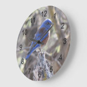 Grande Horloge Ronde Bluebird (Angle)