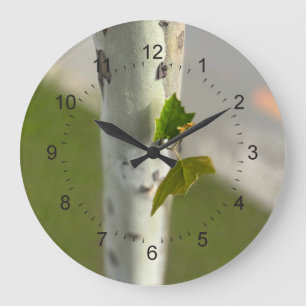 Grande Horloge Ronde Bouleau au bord de la route