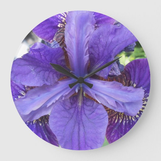 Grande Horloge Ronde Brandeis (Recto)