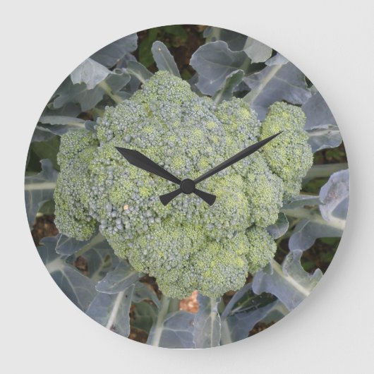 Grande Horloge Ronde Brocoli Wall Clock (Recto)