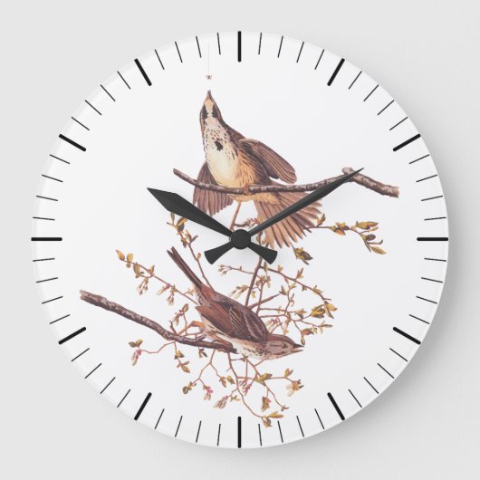 Grande Horloge Ronde Bruant de chanson Audubon avec araignée minuscule (Recto)