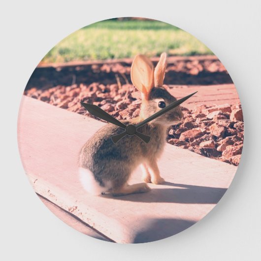 Grande Horloge Ronde bunny rabbit photo Easter spring (Recto)