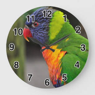 Grande Horloge Ronde Cadran de perroquet coloré