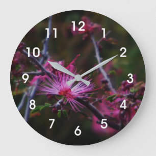 Grande Horloge Ronde Calliandra à feuilles soyeuses