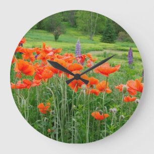 Grande Horloge Ronde Canada, New Brunswick, . Landscape