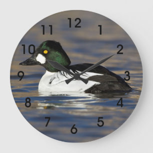 Grande Horloge Ronde Canard de l'oeil d'or mâle