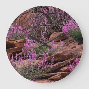 Grande Horloge Ronde Capitol Reef National Park, Utah, États-Unis