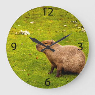 Grande Horloge Ronde Capybara