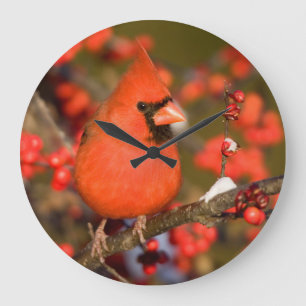 Grande Horloge Ronde Cardinal du Nord dans la Common Winterberry
