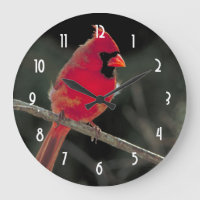 Cardinal rouge perché sur une branche d'arbre