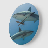 Grande Horloge Ronde Caribbean Reef Shark (Angle)
