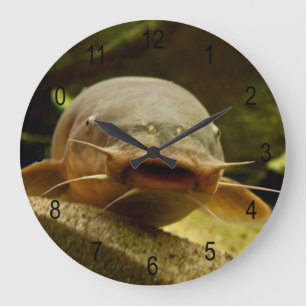Grande Horloge Ronde Catfish