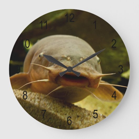 Grande Horloge Ronde Catfish (Recto)