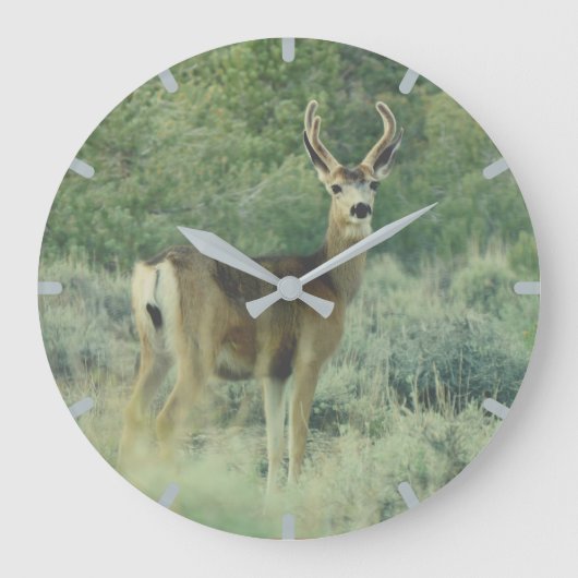 Grande Horloge Ronde Cerf (Recto)