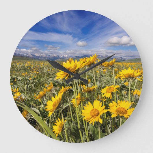 Grande Horloge Ronde Chaîne Rocky Mountain Front (Recto)