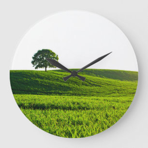 Grande Horloge Ronde champ vert