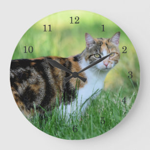 Grande Horloge Ronde Chat brun et blanc