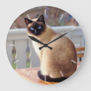 Grande Horloge Ronde Chat siamois observé par bleu se reposant orient