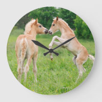 Chevaux de Haflinger jolies poulains élevant