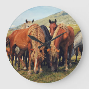 Grande Horloge Ronde Chevaux sauvages Vie Nature Scène