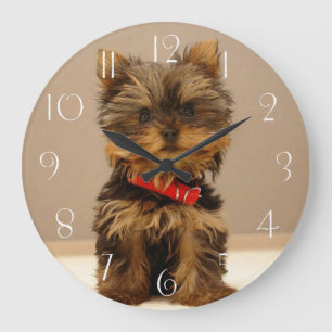 Grande Horloge Ronde Chien à chiots du Yorkshire Terrier