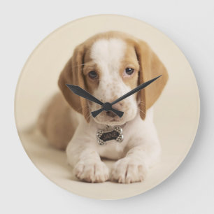 Grande Horloge Ronde Chiot de beagle
