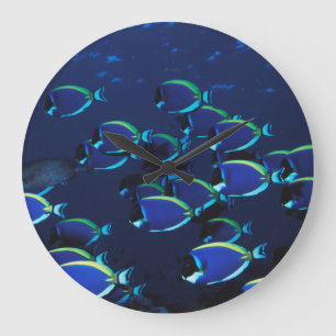 Grande Horloge Ronde Chirurgien bleu poudre en banc