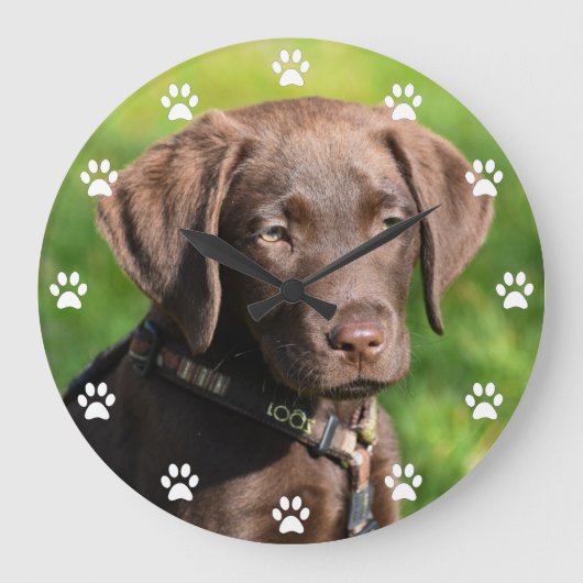 Grande Horloge Ronde Chocolate lab puppy dog (Recto)