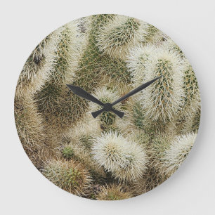Grande Horloge Ronde Cholla saut Cactus Photo