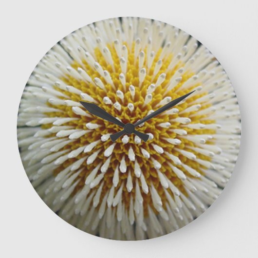 Grande Horloge Ronde Clock de Dandelion (Recto)