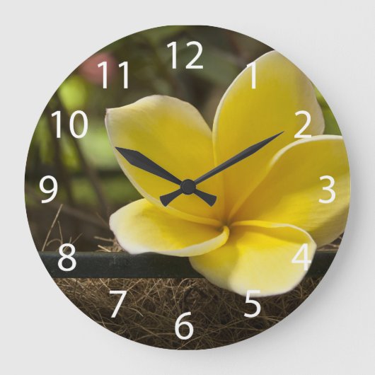 Grande Horloge Ronde Clock Plumeria (Recto)