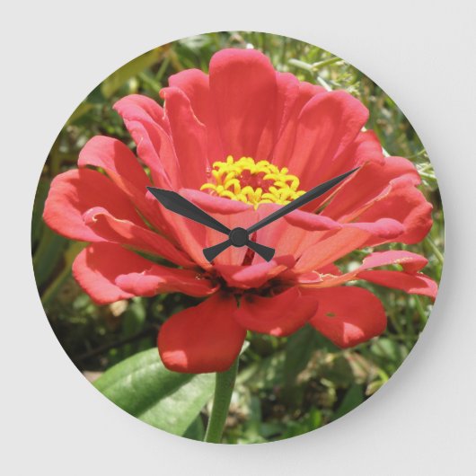 Grande Horloge Ronde Clock Red Zinnia (Recto)